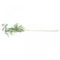 Floristik24 Konstgjord olivkvist dekorativ gren med oliver 100cm