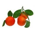 Floristik24 Orange mini med blad 5cm 8st