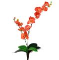 Floristik24 Orchid två grenar 60 cm orange