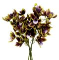 Floristik24 Orchid Cymbidium Green, Purple L38cm 4st