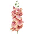 Floristik24 Orkidé Phalaenopsis konstgjord 9 blommor rosa vanilj 96cm