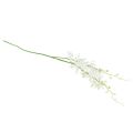 Floristik24 Orkidéer konstgjorda Oncidium konstgjorda blommor vita 90cm