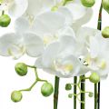 Floristik24 Konstgjorda orkidéer i kruka vit konstväxt 63cm