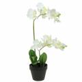 Floristik24 Orkidéer vita i en kruka konstgjord växt H35cm