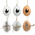 Floristik24 Påskdekoration, kycklingägg för upphängning, dekorativa ägg fjäder och kyckling, brun, blå, vit set om 6