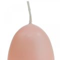 Floristik24 Påskljus äggform, äggljus Påsk Persika Ø4,5cm H6cm 6st