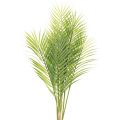 Floristik24 Konstgjord palmkvist, konstgjord växt för arrangemang, 90 cm