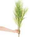 Konstgjord palmkvist, konstgjord växt för arrangemang, 90 cm | Floristik24.se