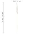 Pampasgräs torkade blommor blekta 70 cm 15 st | Floristik24.se