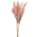 Floristik24 Pampas gräs torkad rosa torr blomstring 65-75cm 6st i gäng