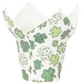 Pappersblomkruka med