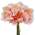 Floristik24 Paeonia pion konstgjord blomma Pion rosa Ø6cm 28cm 7st