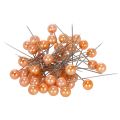 Floristik24 Pärlstift orange Ø10mm 60mm
