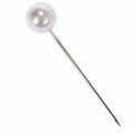 Pärlstift vita Ø20mm 90mm | Floristik24.se