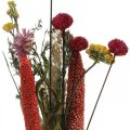 Floristik24 Bukett med torkade blommor med ängsblommor rosa DIY-set H30-35cm