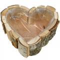 Floristik24 Planter, hjärtformad träskål, björkplanter, hjärtskål 27 × 28cm