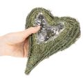 Växthjärta av naturmaterial med folieinlägg, 22 cm, 2 stycken | Floristik24.se