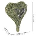 Naturligt växthjärta för blomsterhandel med folie, 25 cm | Floristik24.se