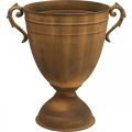 Floristik24 Kruka rost utseende kopp vas metall Ø22.5cm H32.5cm