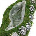 Floristik24 Plantera mossa och kottar vinka grönt, tvättat vitt 41 × 15cm