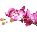 Floristik24 Konstgjorda orkidéer i kruka Phalaenopsis konstgjorda blommor orkidéer rosa 34cm