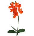 Floristik24 Konstgjord orkidé med orange blad 35 cm