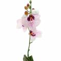 Floristik24 Konstgjord orkidé phaleanopsis vit, lila 43 cm