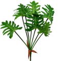 Floristik24 Philodendron växt konstgrön 58cm