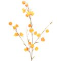 Floristik24 Konstgjord kinesisk lykta, Physalis-gren med blommor, 95 cm