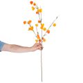 Konstgjord kinesisk lykta, Physalis-gren med blommor, 95 cm | Floristik24.se