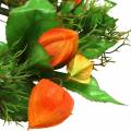 Konstgjord Physalis-krans, orange och grön, Ø28 cm, höstdekoration | Floristik24.se