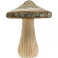 Floristik24 Träsvampbark och glitter deco svampar trä H8,5cm 4st