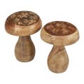 Floristik24 Träsvampar dekorativa svampar trä naturlig höstdekoration Ø10cm H12cm 2st