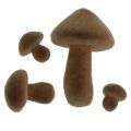 Floristik24 Flockade svampar bruna 12st