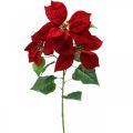 Floristik24 Konstgjord julstjärna röd stamblomma 3 blommor 85cm