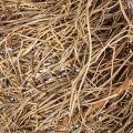 Krans av naturmaterial, naturlig dekorativ krans för gör-det-själv-projekt, 35 cm | Floristik24.se