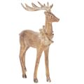 Floristik24 Dekorativ figur av en hjort med horn, för stående, juldekoration, 28 cm