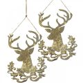 Floristik24 Renar att hänga, juldekoration, hjorthuvud, metallhänge gyllene antik look H23cm 2st
