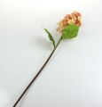 Floristik24 Panicle hortensia i korall, grädde 74cm