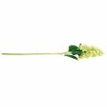 Floristik24 Konstgjord hortensia hortensia, hortensia grön, silkesblomma av hög kvalitet 98cm