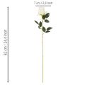 Konstgjord rosblomma, lång stjälk, för vas, 62 cm, 12 stycken | Floristik24.se