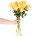Konstgjord ros med lång stjälk, konstgjord blomma, 62 cm, 12 stycken | Floristik24.se