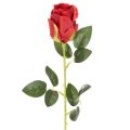 Floristik24 Konstgjord ros med lång stjälk, röd konstgjord blomma, 62 cm, 12 stycken