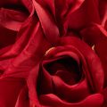 Konstgjord ros med lång stjälk, röd konstgjord blomma, 62 cm, 12 stycken | Floristik24.se