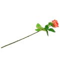 Floristik24 Rose artificiell blomma lax 67,5cm