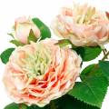 Floristik24 Dekorativ ros i en kruka, romantiska sidenblommor, rosa pion