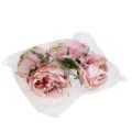 Floristik24 Rose head cream, rosa 17cm 4st