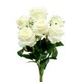 Floristik24 Bukett rosor vit, kräm 55cm
