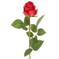Floristik24 Roskvist sidenblomma konstgjord ros röd 72cm 3st