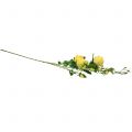 Floristik24 Rose gren gul 100cm